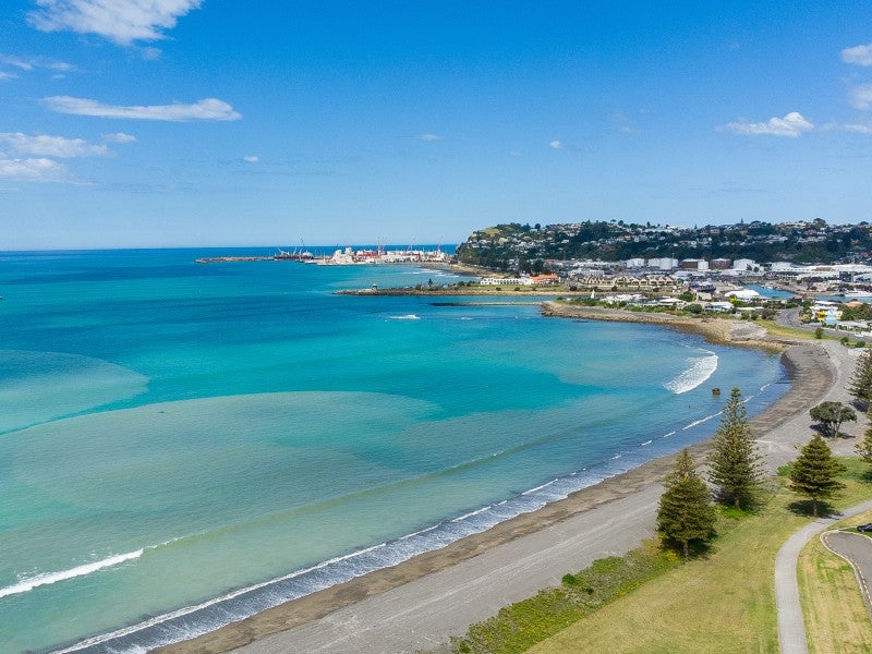 1 Ferguson Avenue, Westshore, Napier - Carousel 17