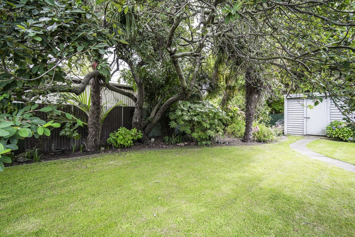 1014 Waipuna Street, Mahora, Hastings - Carousel 17