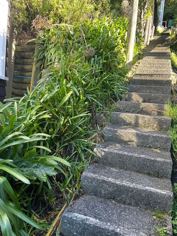 79 Barnard Street, Wadestown, Wellington - Carousel 12