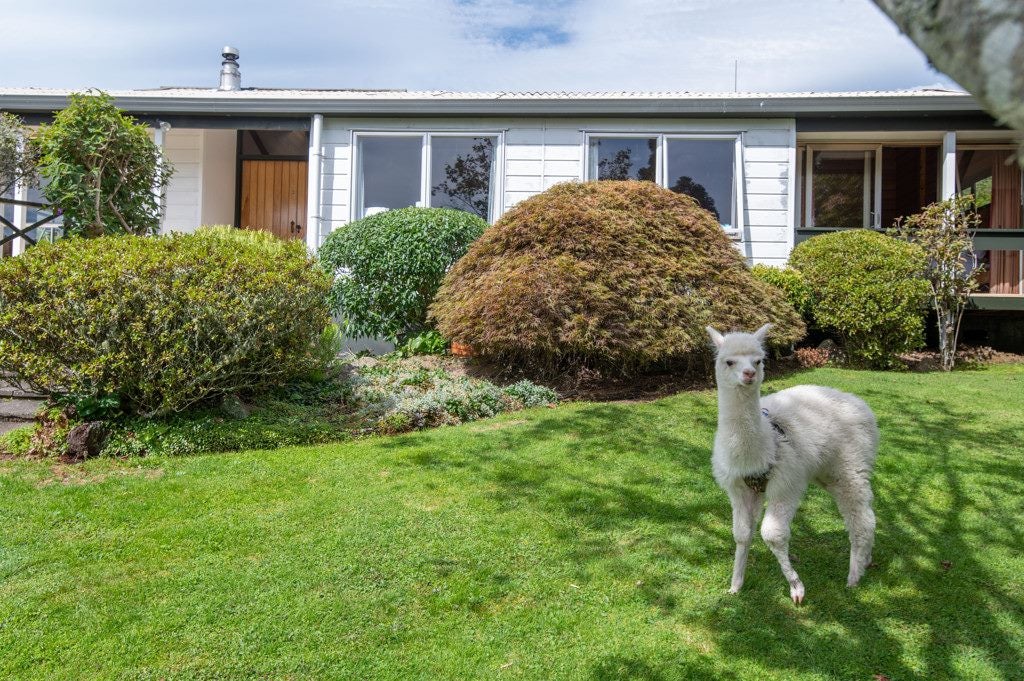 2 Walford Drive, Lynmore, Rotorua - Carousel 2