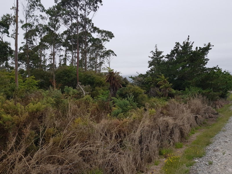 274 Utopia Road, Westport, Westport - Carousel 1