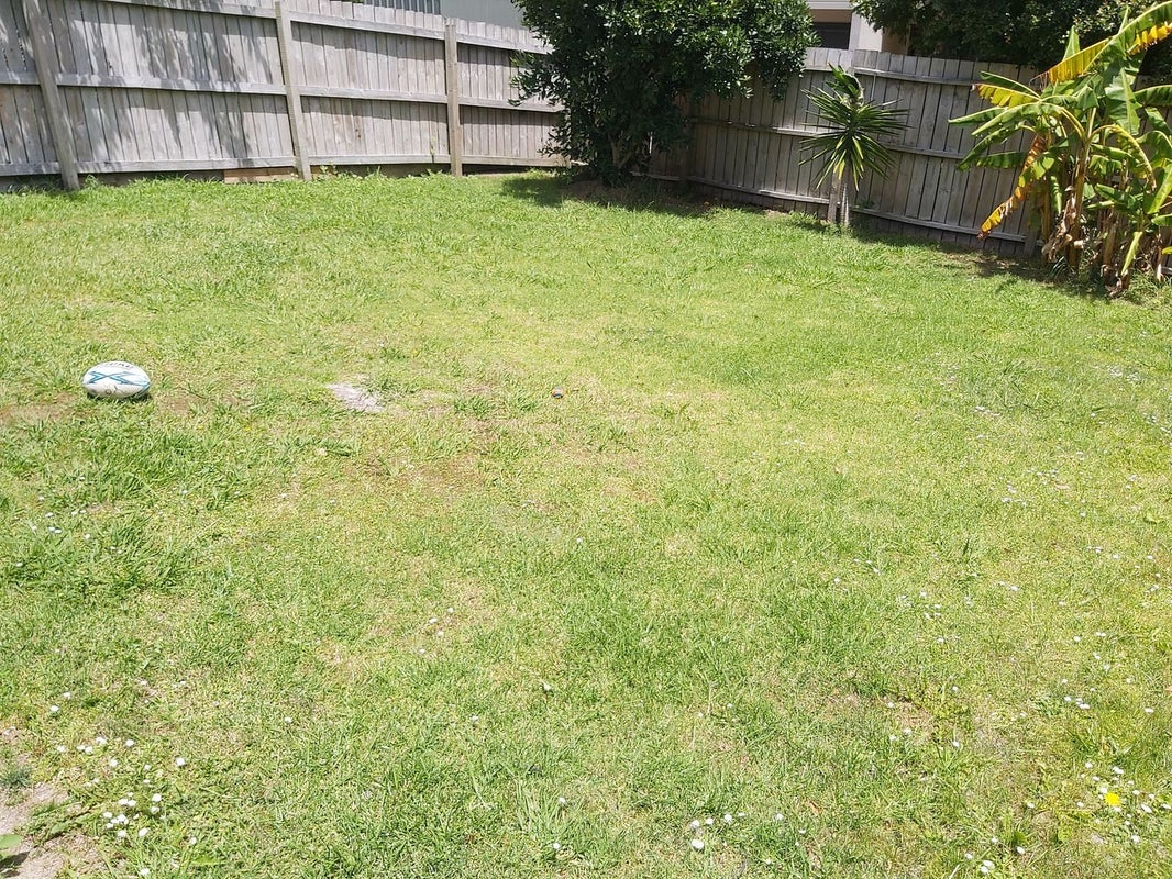 4 Gregg Place, Sunnyvale, Auckland - Carousel 18