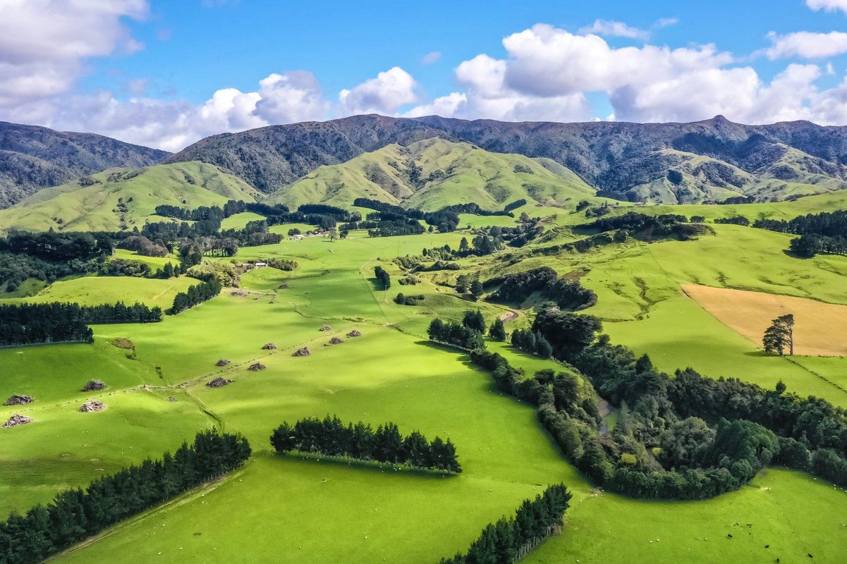 0 Kopikopiko Rd, Pahiatua - Carousel 1