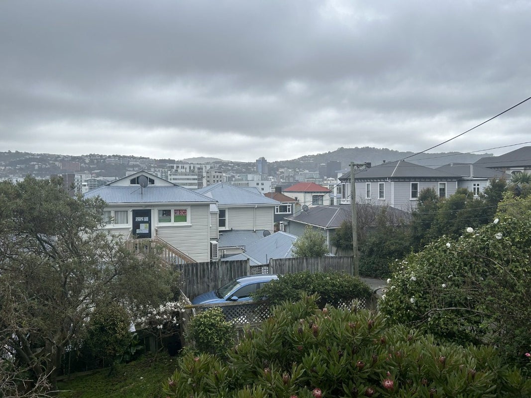 4 Batham Drive, Mount Victoria, Wellington - Carousel 23