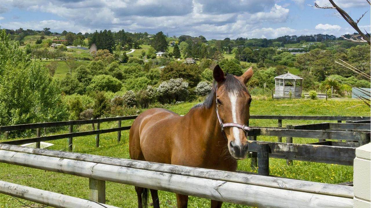 35 Mill Flat Road, Albany - Carousel 1