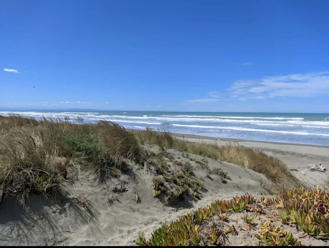 209A Rocking Horse Road, Southshore, Christchurch - Carousel 21
