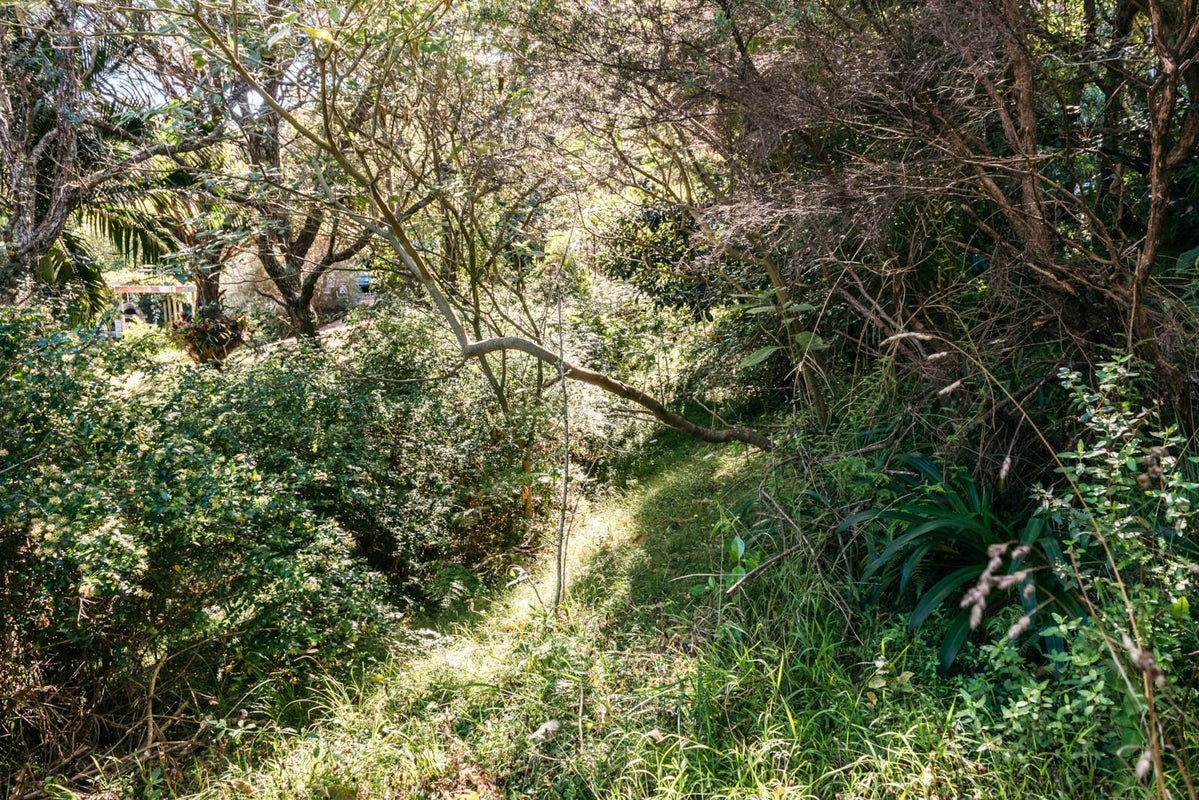 12 O'brien Road, Omiha, Waiheke Island - Carousel 2