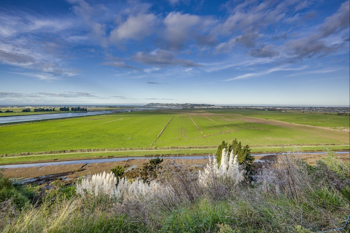 64A Nilgiri Road, Poraiti, Napier - Carousel 2