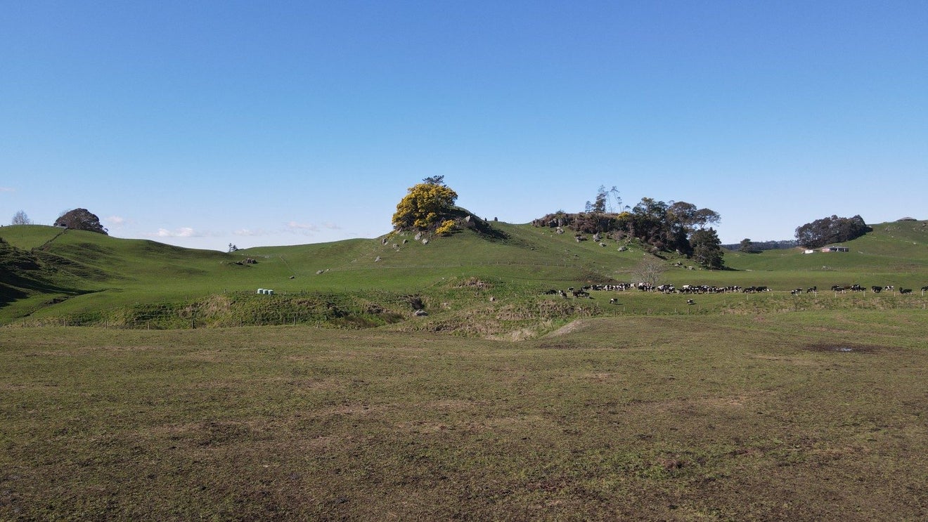 0 Waotu Road, Waotu, Putaruru - Carousel 2