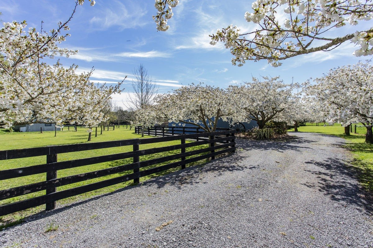 1196 Woodfields Road, Cust, Rangiora - Carousel 2