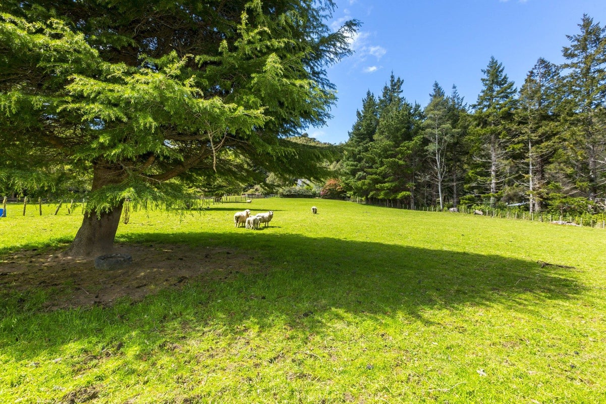 1063C Blue Mountains Road, Blue Mountains, Upper Hutt - Carousel 47