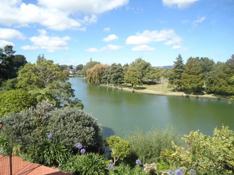 25 Manuka Street, Hokowhitu, Palmerston North - Carousel 2