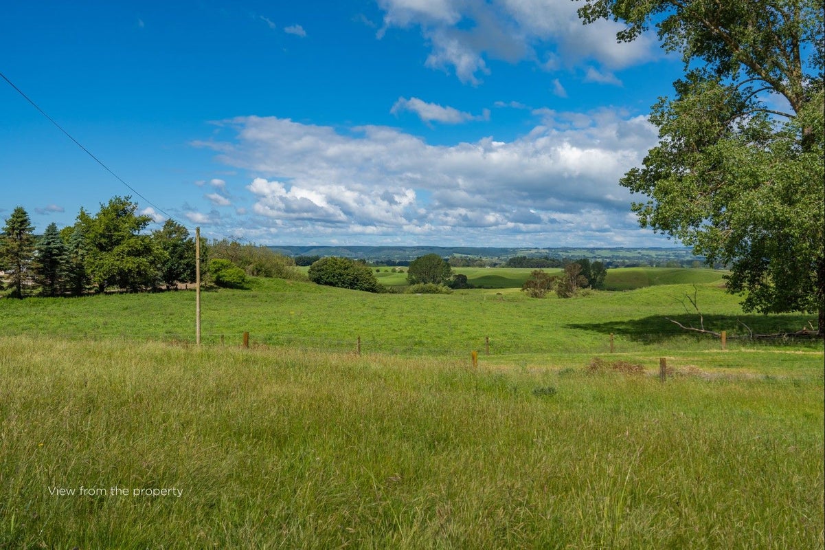 325 Springs Road, Mihi - Carousel 21