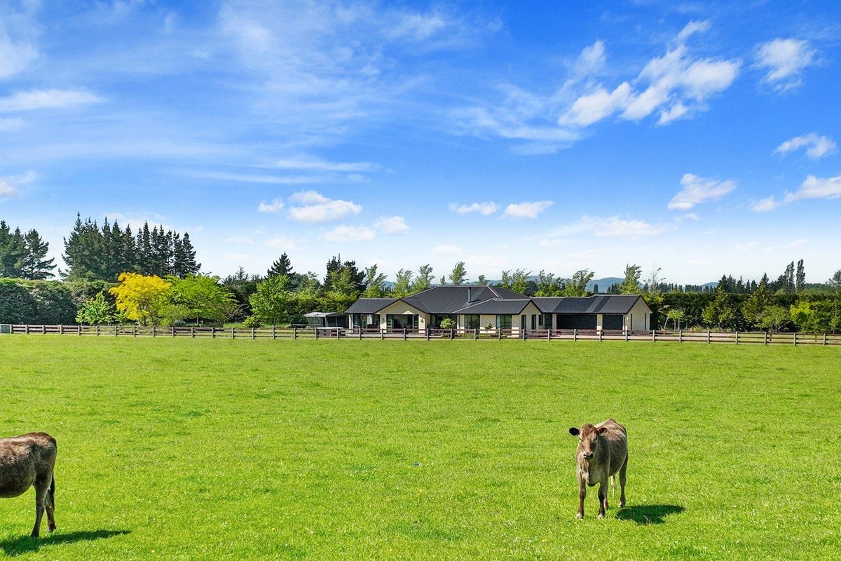 53 Swamp Road, Loburn, Rangiora - Carousel 2