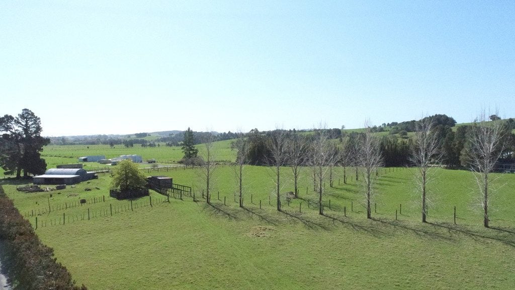 18 Thompson Road, Kaitaia, Kaitaia - Carousel 1