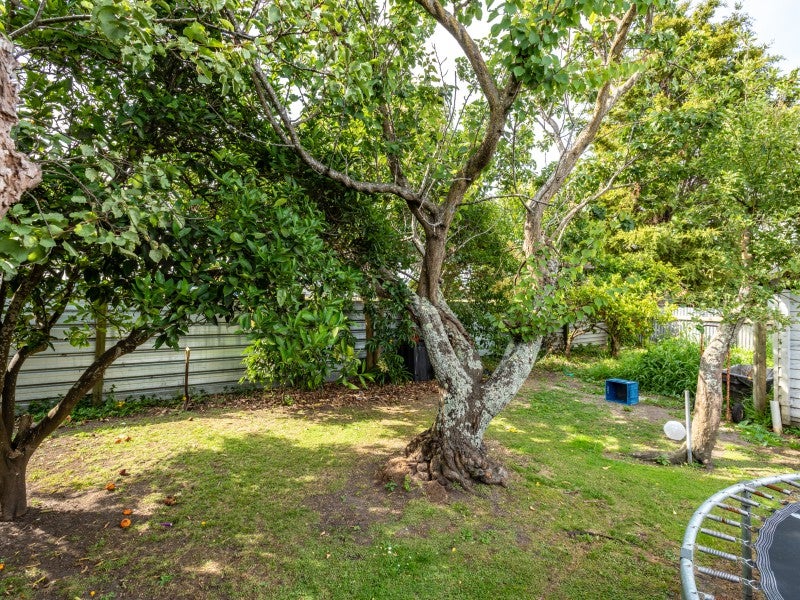 137 Roebuck Road, Te Hapara, Gisborne - Carousel 24