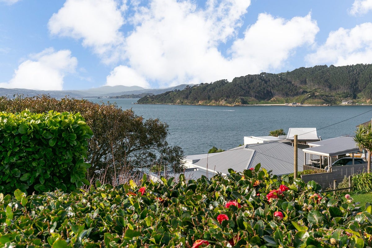 6 Kio Road, Hataitai, Wellington - Carousel 2