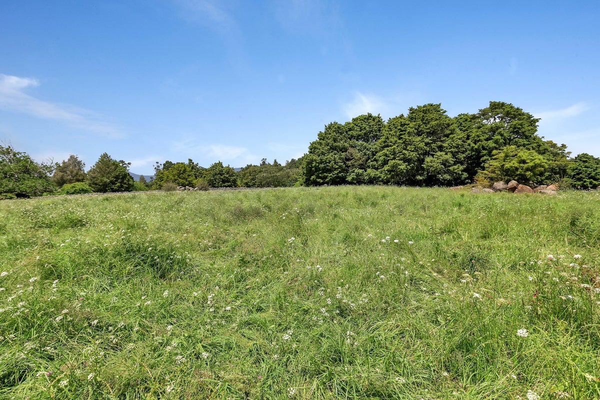 527 Whatitiri Road, Poroti, Whangarei - Carousel 2