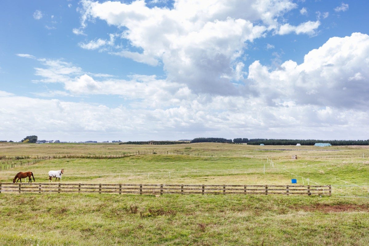 133 Taikorea Road, Glen Oroua, Palmerston North - Carousel 15
