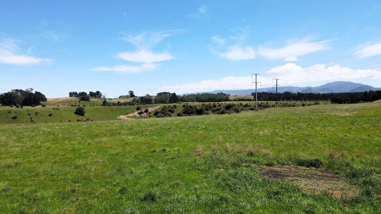 200 Garfield Road, Norsewood, Tararua, Manawatu / Whanganui - Carousel 11