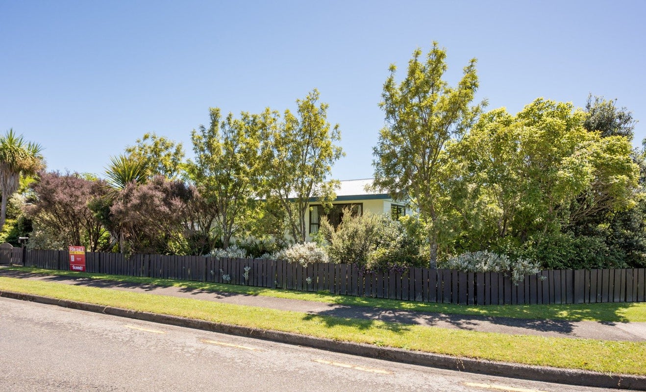 2 Chandler Street, Tahunanui, Nelson - Carousel 1