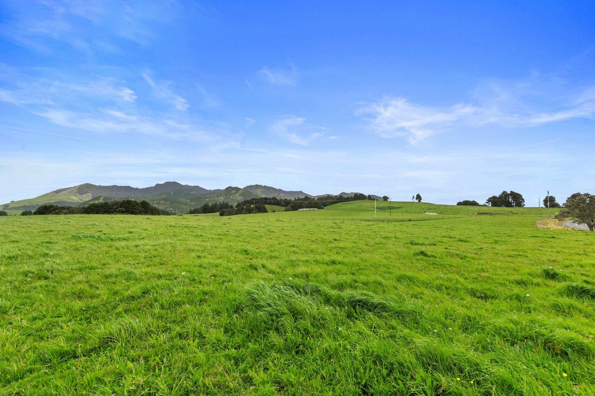 0 Pukehuia Road - Carousel 14