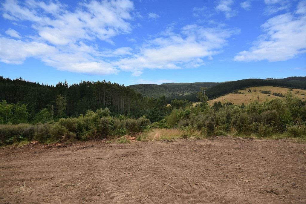 233B Leith Valley Road, Leith Valley, Dunedin - Carousel 20