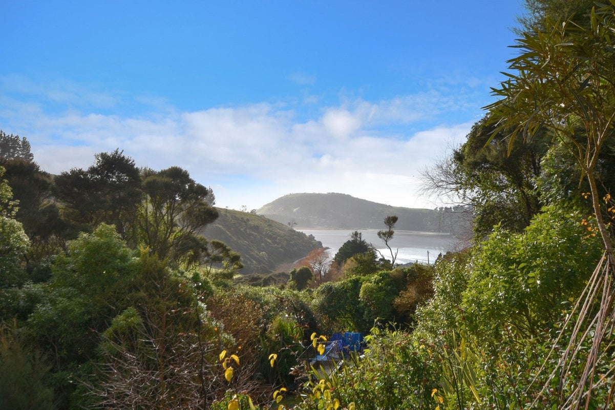 9A Phoebe Street, Osborne, Port Chalmers - Carousel 2
