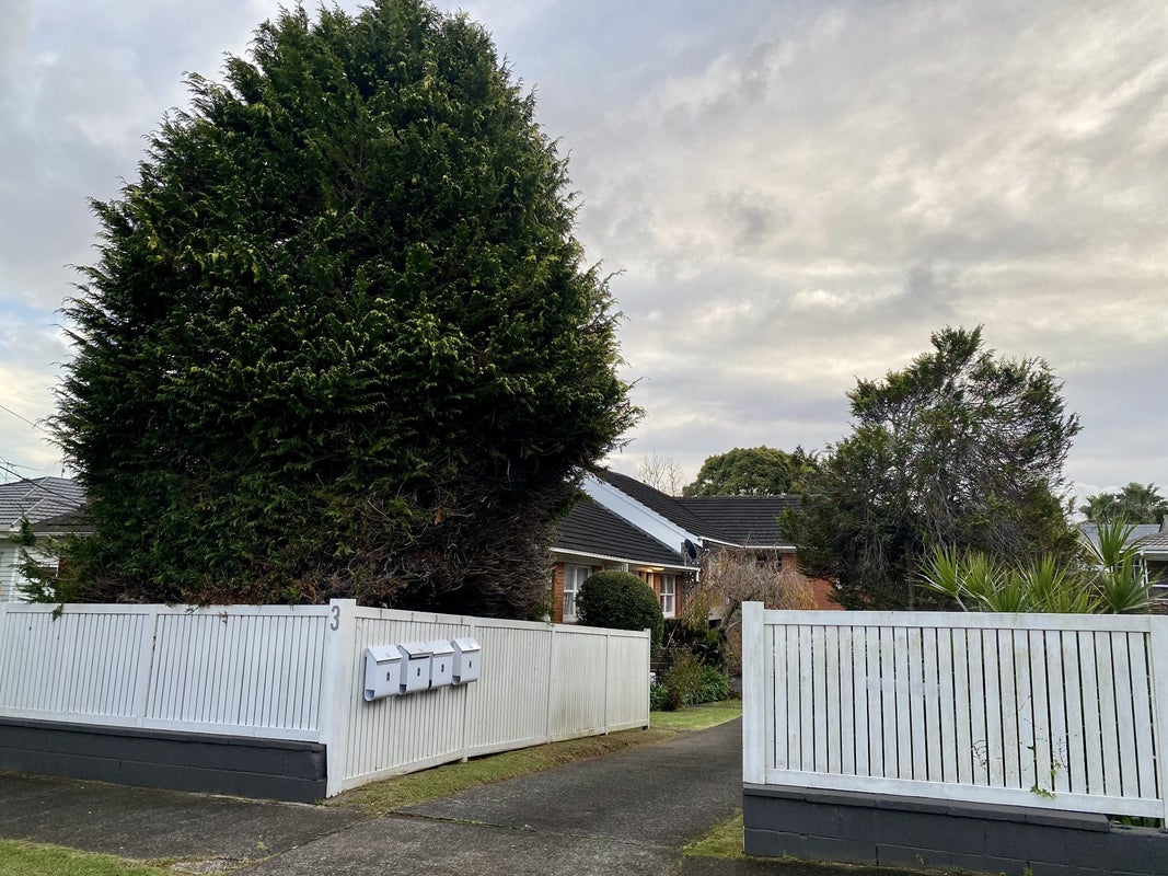 3 Kingsford Road, Mount Eden, Auckland - Carousel 11