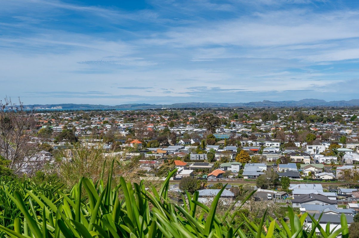 20 Havelock Road, Hospital Hill, Napier - Carousel 32