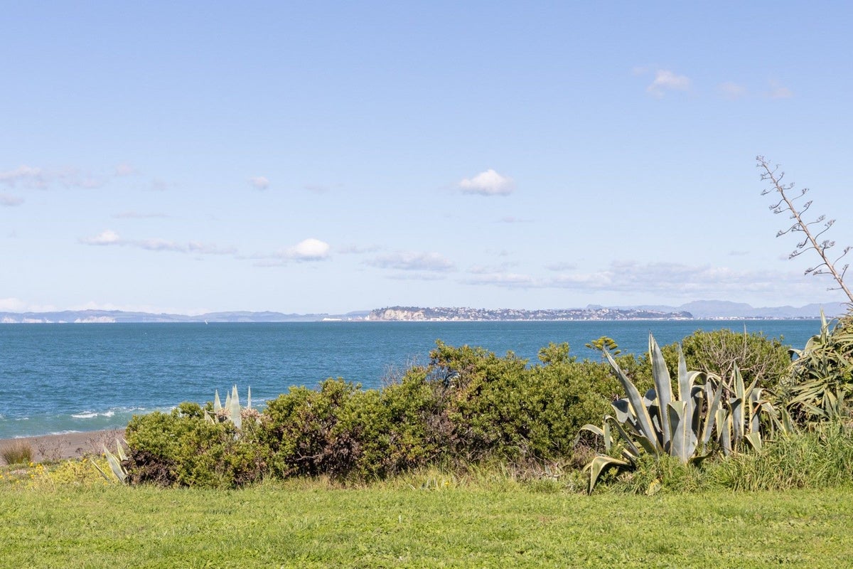 262 Whirinaki Road, Eskdale, Napier - Carousel 20