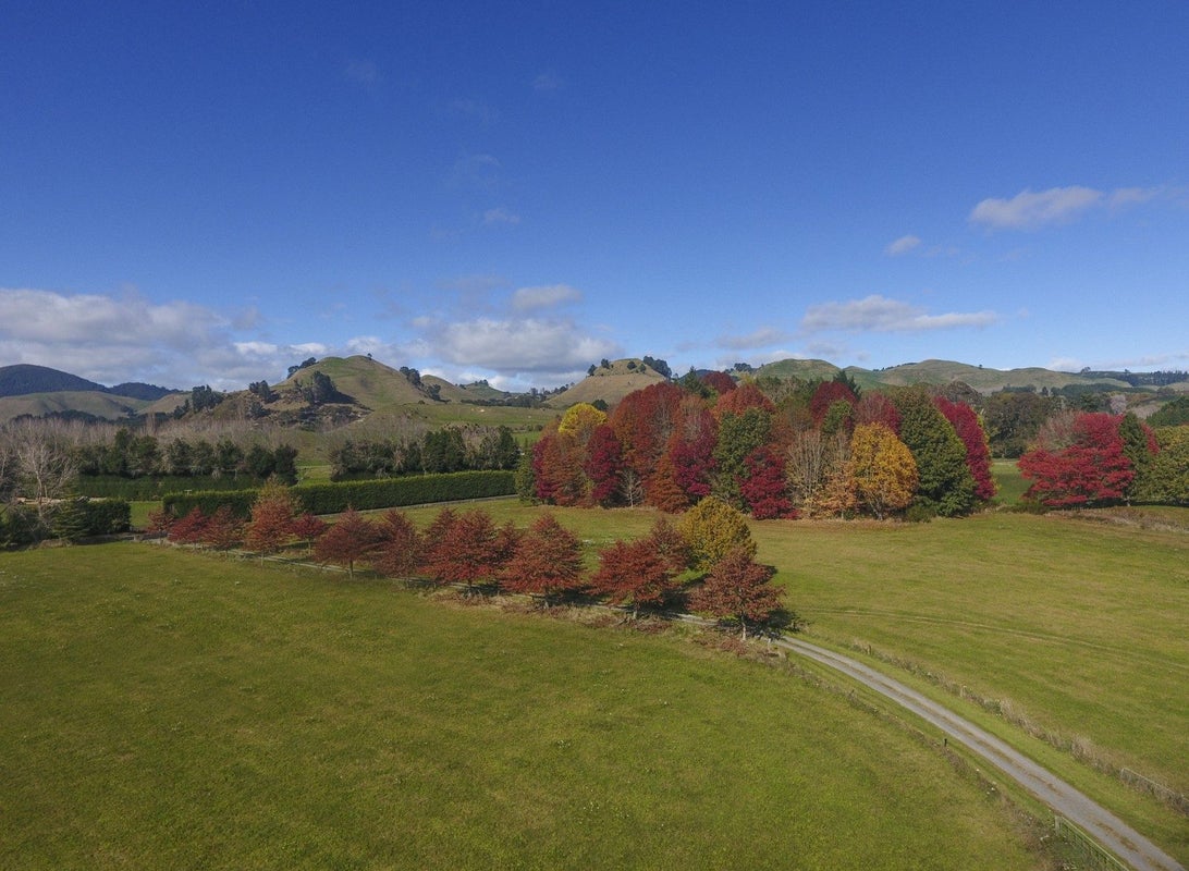 21 Mangatete Road, Waikite Valley, Rotorua - Carousel 1