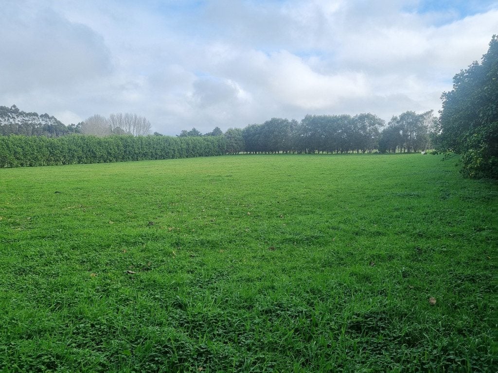 0 Waiare Road, Okaihau, Okaihau - Carousel 1