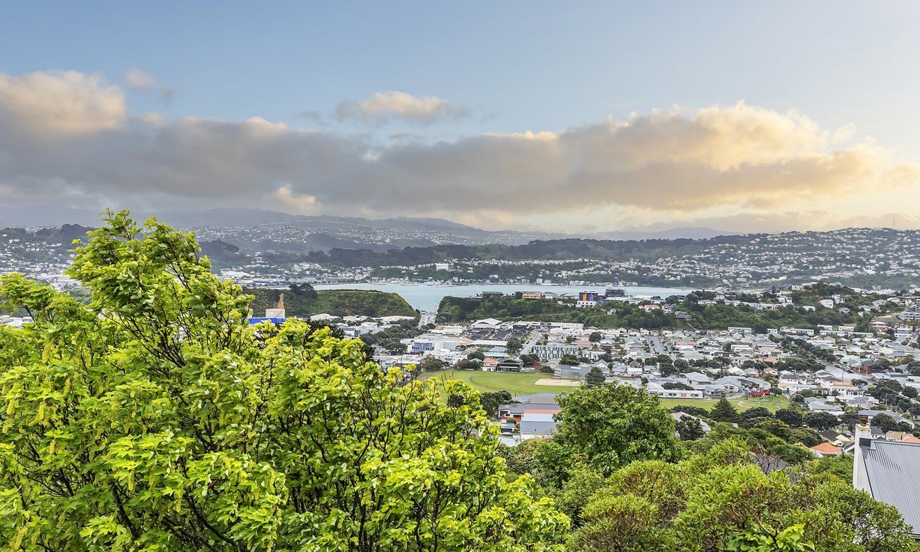 87A Seatoun Heights Road, Seatoun, Wellington - Carousel 1