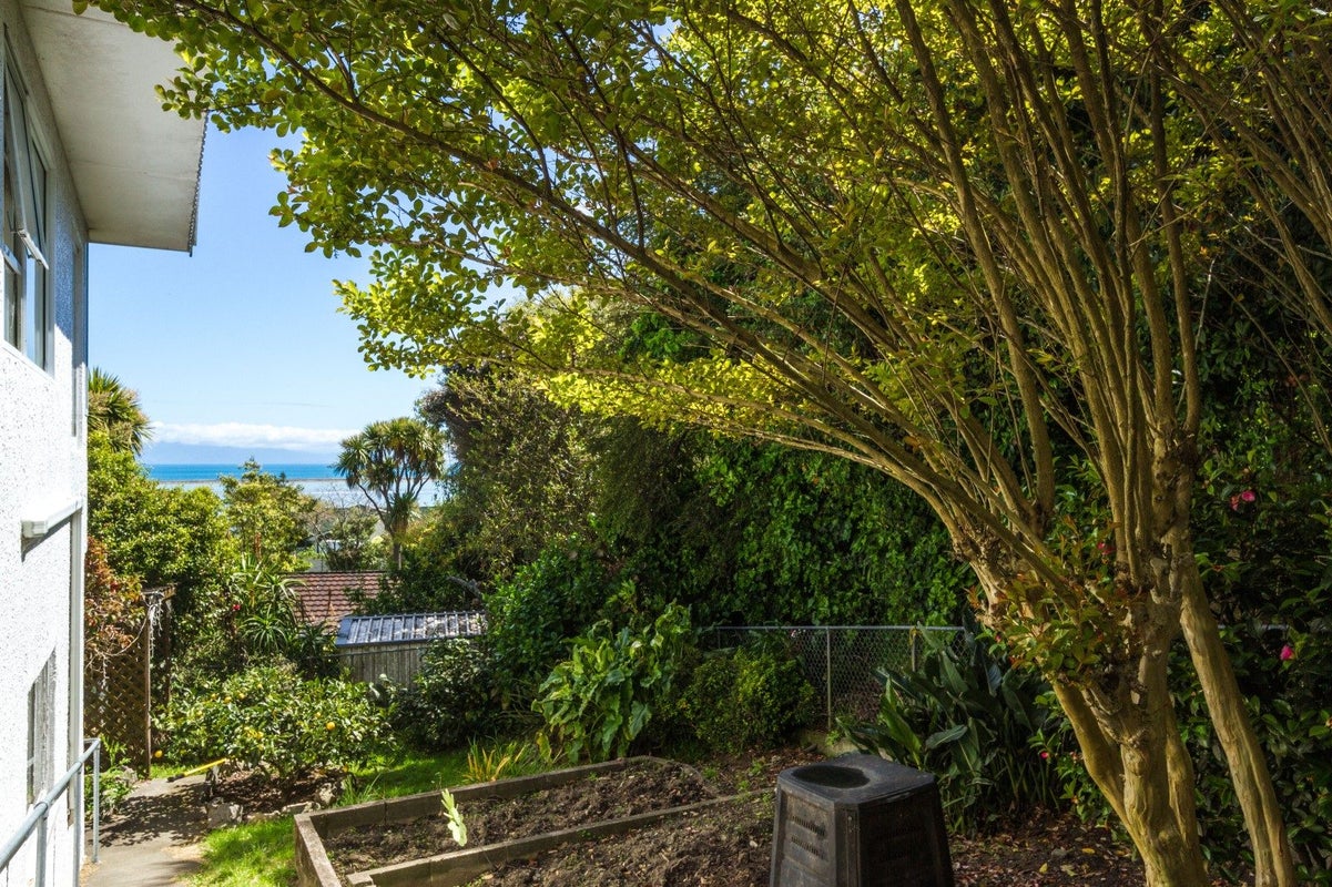 18B Seaton Street, Marybank, Nelson - Carousel 38