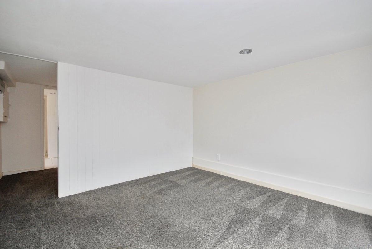 306A East Coast Road, Forrest Hill, Auckland - Carousel 13