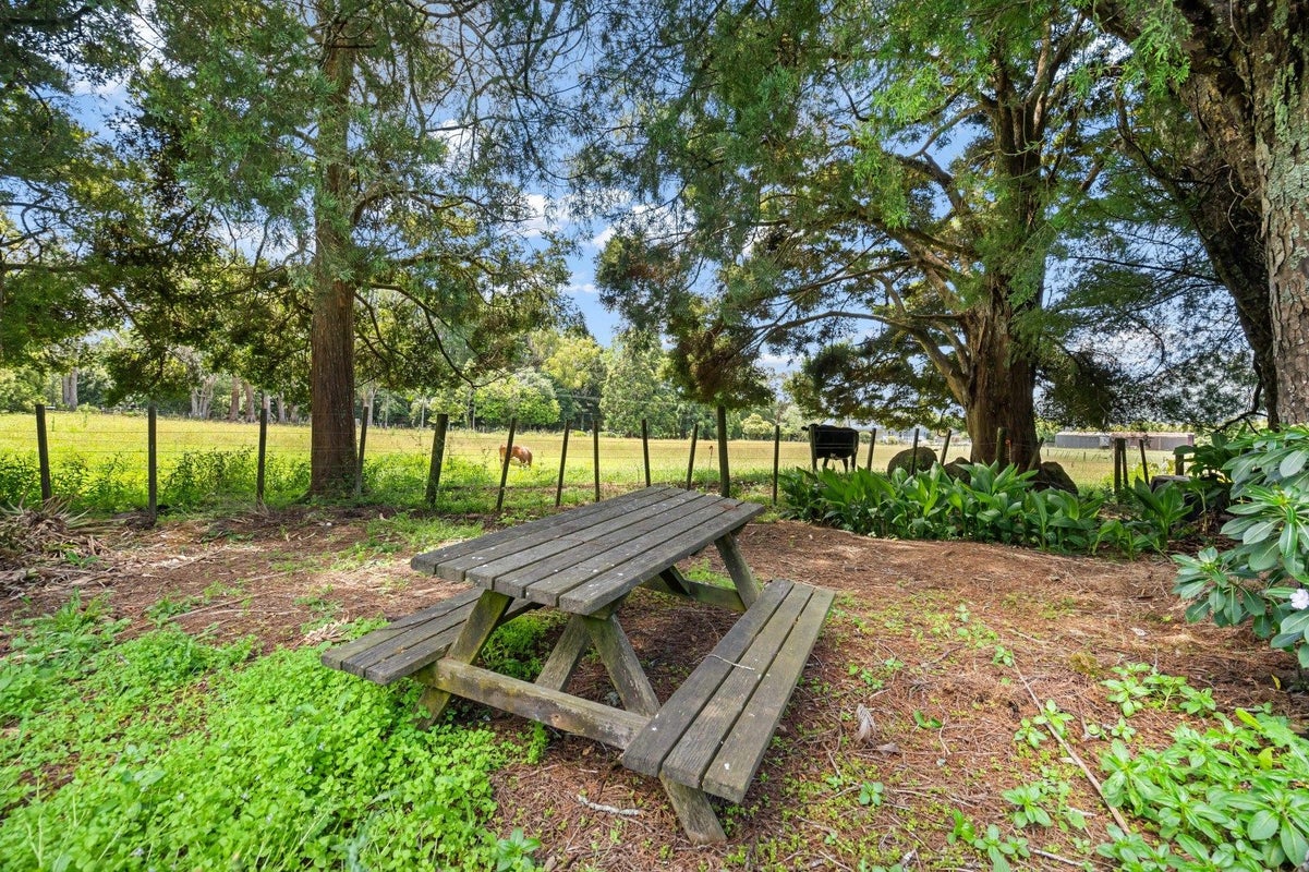 384 Pipiwai Road, Ngararatunua, Whangarei - Carousel 22