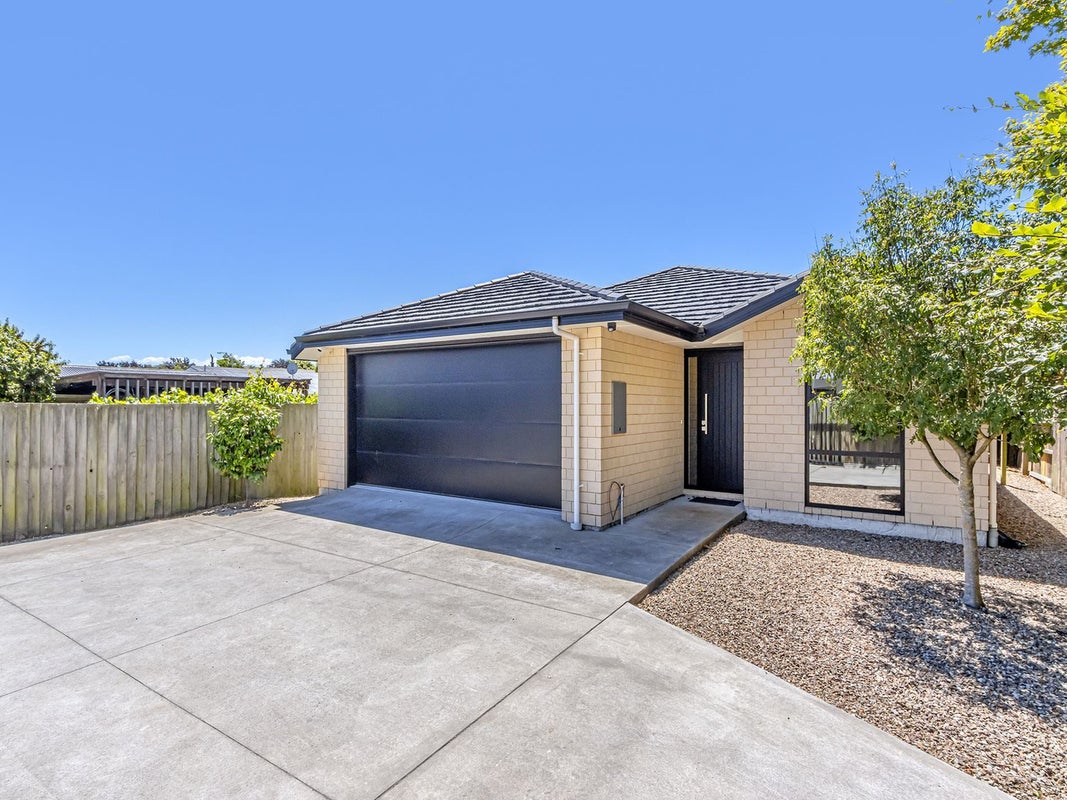 254A Lyttelton Street, Spreydon, Christchurch - Carousel 1