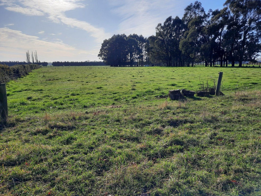 161 Richard Pearse Drive, Temuka, Temuka - Carousel 6