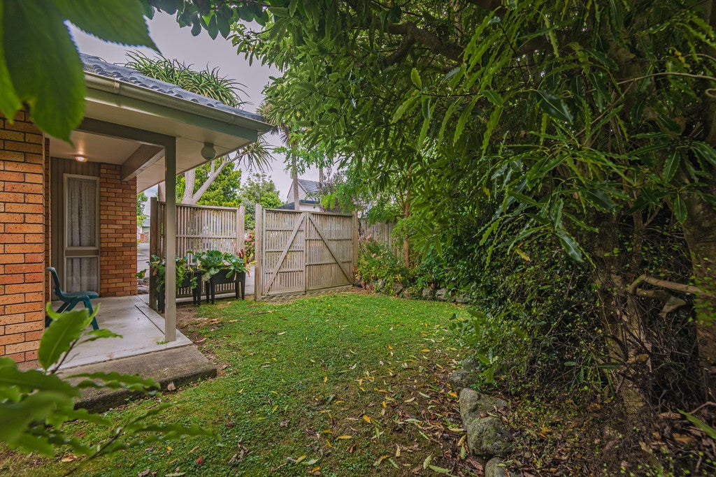 7 Brightwater Terrace, Terrace End, Palmerston North - Carousel 2