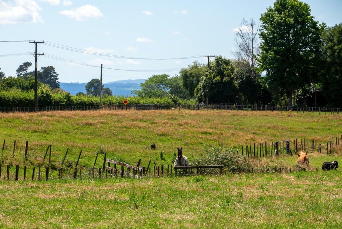 49 Dalbeth Road, Hamurana - Carousel 2