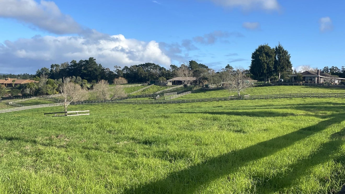 7 Tawa Road, Kumeu - Carousel 1