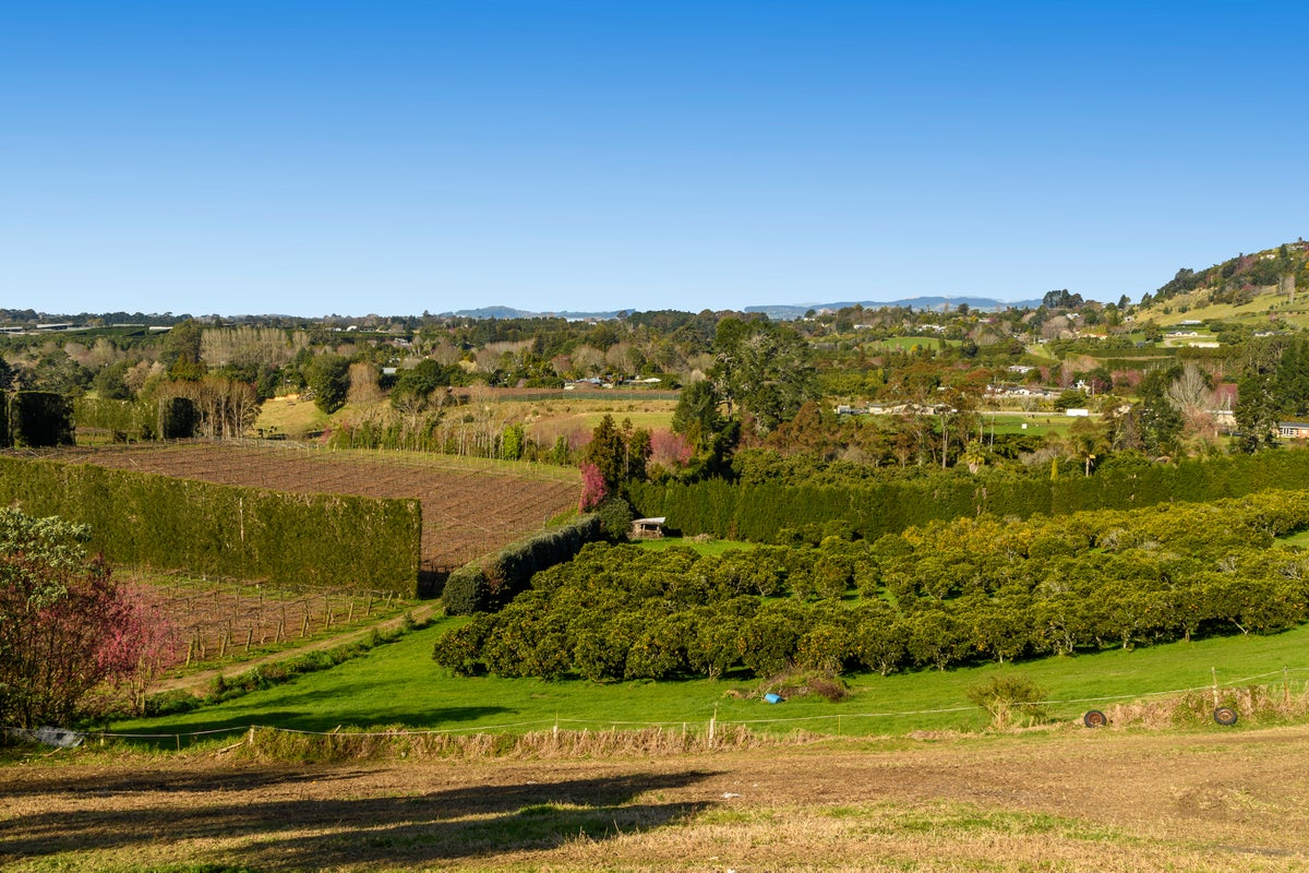 14 Snodgrass Road, Te Puna, Tauranga - Carousel 24
