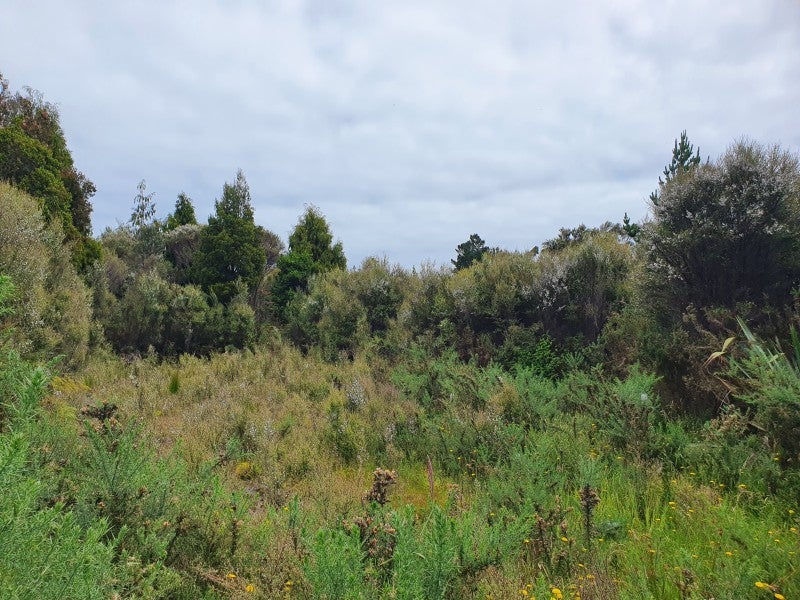 18 Sanctuary Place, Kumara Junction, Greymouth - Carousel 1