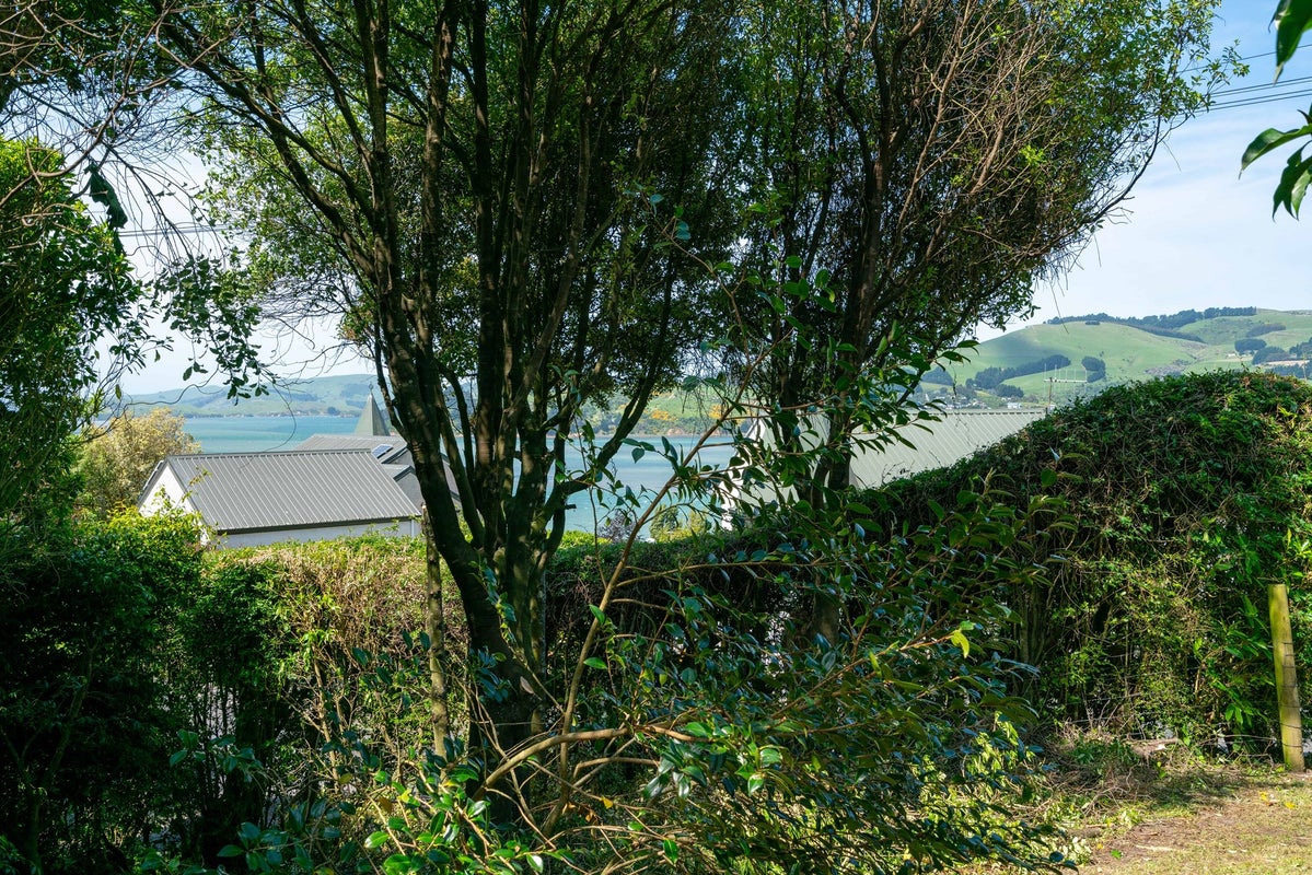6 Hawk Lane, Saint Leonards, Dunedin - Carousel 15