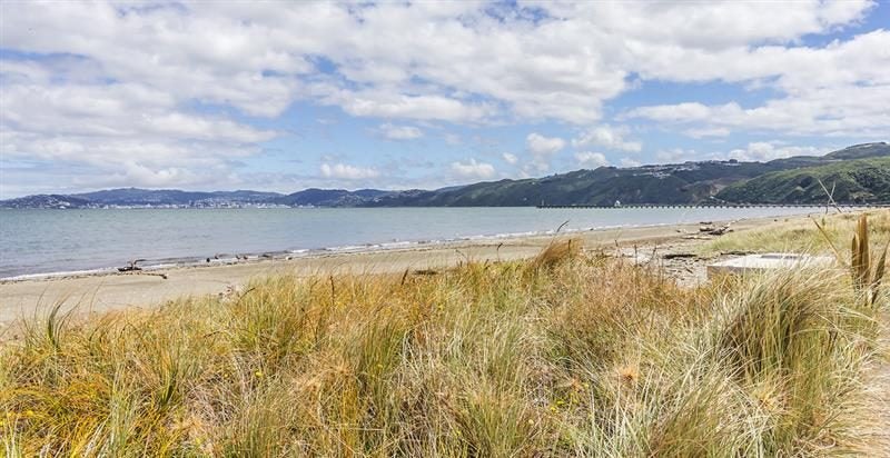10 Queen Street, Petone, Lower Hutt - Carousel 2