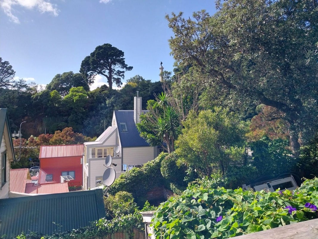 23 Ascot Street, Thorndon, Wellington - Carousel 20