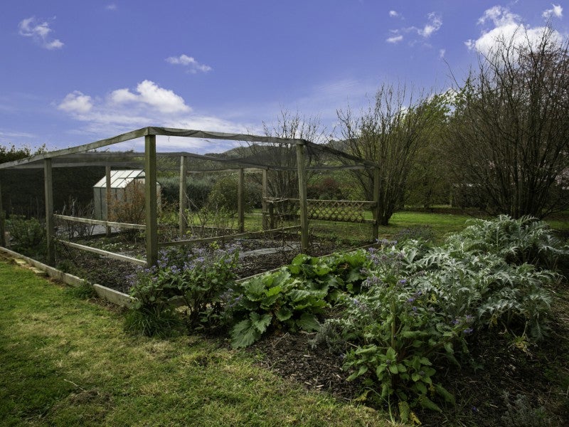 369 Pukemoremore Road, Cambridge - Carousel 26