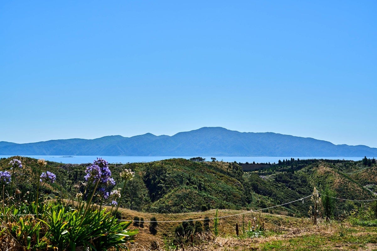 46 Eucalyptus Way, Nikau Valley, Paraparaumu - Carousel 27