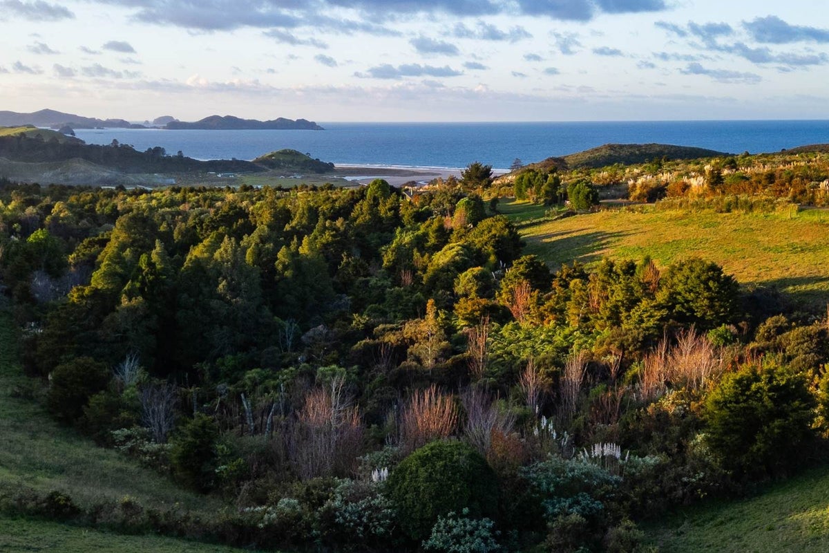 27A Cavalli View Road, Kaeo, Kerikeri - Carousel 2